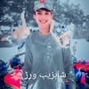 shahzaibwarar26