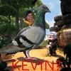 kevinnooo0