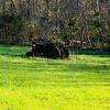 on_the_fritz_farm