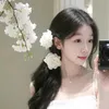 huees.traan_o8