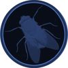 humxnfly3