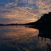 phuloc290193