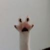 joebean_the_toebean