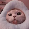 astronomical_u