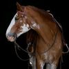 Mountain-Side Horsemanship LLC