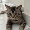 khongvy99