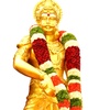 balasannavur0050