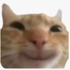 ayrachannel1