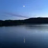 t.lilja.p