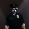 raccoon_trevor