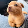 thanh763303