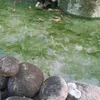123456.com68