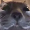 xrhstakhsm