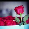 user5591603666601