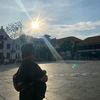 laRe_poll0s
