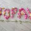 jopaydenrizramire