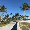 masonadjaoud