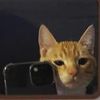 jaur.mel