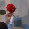 najma_el20