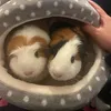 thepiggies_roseandvaleri