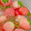 srengenge022