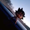 alexr_502