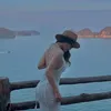 vyvy28826