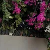 areen_356