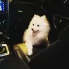 karl_0918