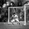 dourado_09