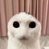 vosisgaming
