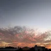 tamquyen1111