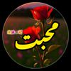 nomanimtiaz786