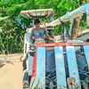 mdrajuhasan31