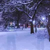 павелпетков������6