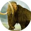 woolly_mammoth_5876