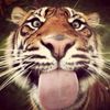andres10791