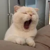 huhuhihi0123