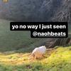 naohbeats