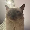 elizabeth.eick