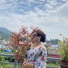 shova_191