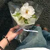tuatua_k1