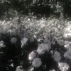 do_lkh