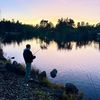 .ilike2fish