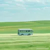 qnhucty
