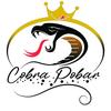 Cobra_pobar_officiel