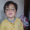 user331113683