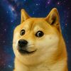 doge_o0o