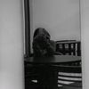 ptrxnluv_q