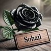 sohailghauri217